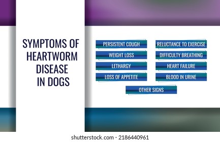 Symptoms Heartworm Disease Dogs Vector Illustration Stock Vector ...