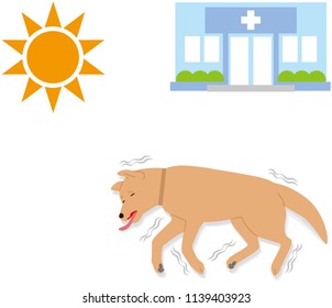 Symptoms Of Heat Stroke In Dogs. Syncope. Convulsions.