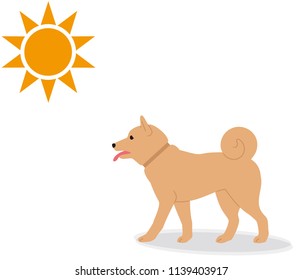 what are the symptoms of heat stroke in dogs