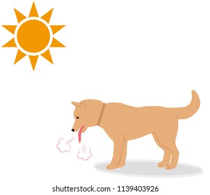 Symptoms of heat stroke in dogs.Rough breathing.