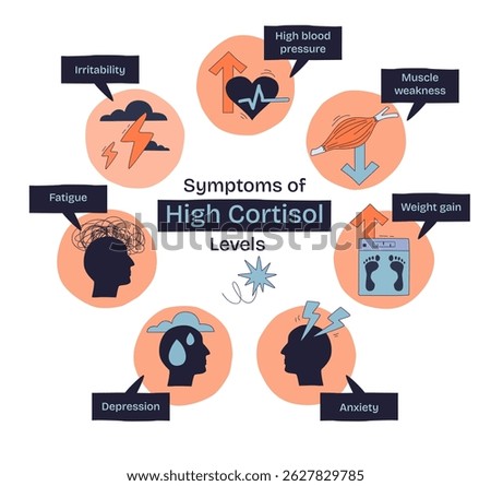 Symptoms of high cortisol levels are shown with icons for irritability, fatigue, and anxiety in a doodle style diagram. Doodle style diagram