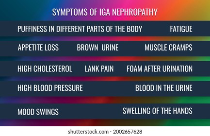 síntomas de nefropatía IgA. Ilustración vectorial para la revista médica o el folleto.