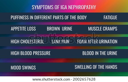 symptoms of IgA nephropathy. Vector illustration for medical journal or brochure.