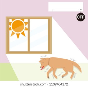 Symptoms of indoor dogs' heat stroke. Convulsions.