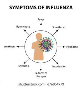 Symptoms Infections Influenza Virus Infographics Vector Stock Vector ...