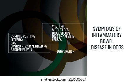 síntomas de la enfermedad inflamatoria intestinal en perros.  Ilustración vectorial para la revista médica o el folleto. 