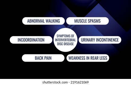 Síntomas de la enfermedad del disco intervertebral.  Ilustración vectorial para la revista médica o el folleto. 