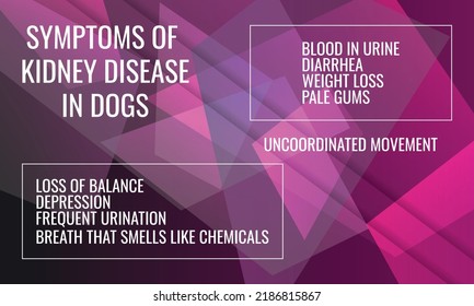 síntomas de la enfermedad renal en perros.  Ilustración vectorial para la revista médica o el folleto. 