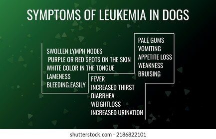 Image showcasing Symptoms Leukemia Dogs Vector Illustration Medical Stock Vector ...