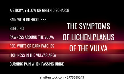 The symptoms of lichen planus of the vulva. Vector illustration for medical journal or brochure.