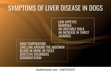 síntomas de la enfermedad hepática EN perros.  Ilustración vectorial para la revista médica o el folleto. 
