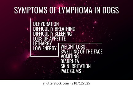 symptoms of Lymphoma IN dogs.  Vector illustration for medical journal or brochure. 