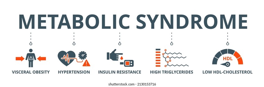 Symptoms of Metabolic Syndrome banner web icon vector illustration concept with an icon of Hypertension, Insulin Resistance, High Triglycerides, Low HDL-Cholesterol, Visceral Obesity