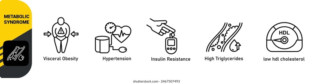 Symptoms of Metabolic Syndrome banner web icon vector illustration concept with an icon of Hypertension, Insulin Resistance, High Triglycerides, Low HDL-Cholesterol, Visceral Obesity