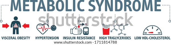 Symptoms of Metabolic Syndrome vector icon\
concept. Hypertension, Insulin  Resistance, High Triglycerides, Low\
HDL-Cholesterol, Visceral\
Obesity