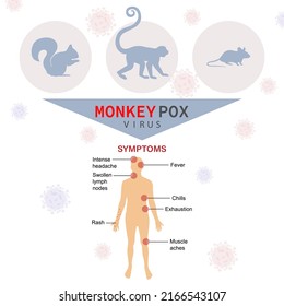 Symptoms of the monkey pox virus. The epidemic virus spreads from animals such as monkeys, squirrels, rats.  This causes skin infections.