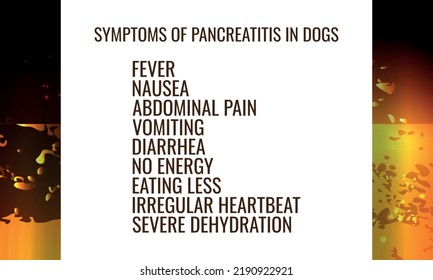 Symptoms Pancreatitis Dogs Vector Illustration Medical Stock Vector ...