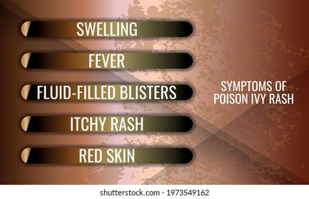 Symptoms Of Poison Ivy Rash. Vector Illustration For Medical Journal Or Brochure.