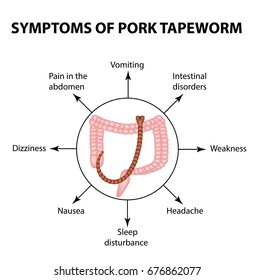 434 Pork Tapeworm Images, Stock Photos & Vectors | Shutterstock