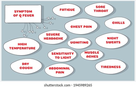 Symptoms Of Q Fever.  Vector Illustration For Medical Journal Or Brochure. 