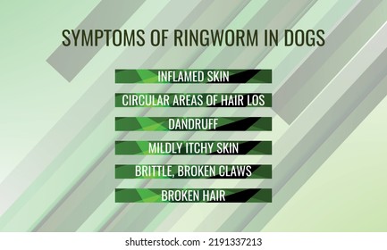 Symptoms Ringworm Dogs Vector Illustration Medical Stock Vector ...