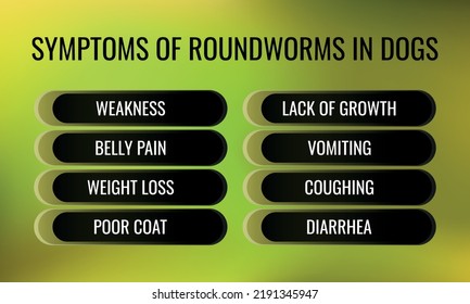 Symptoms Roundworms Dogs Vector Illustration Medical Stock Vector ...