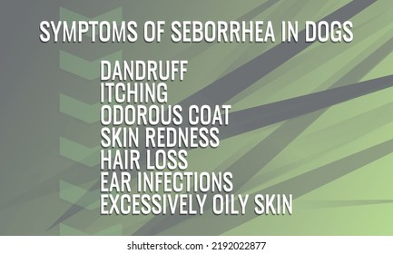 Symptoms Of Seborrhea In Dogs.  Vector Illustration For Medical Journal Or Brochure. 