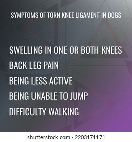 Symptoms Of Torn Ligament In Dogs. Vector Illustration For Medical Journal Or Brochure.