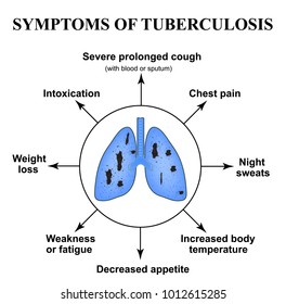 Symptoms of tuberculosis. World Tuberculosis Day. March 24. The structure of the lungs. Infographics. Vector illustration on isolated background