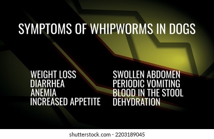 SYMPTOMS Of Whipworms In Dogs. Vector Illustration For Medical Journal Or Brochure.