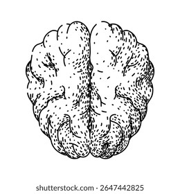 Sinapsis Dibujado a mano. Percepción de neuroplasticidad, conciencia Cerebro, corteza Neurotransmisor Sinapsis Vector cerebral Bosquejo. Ilustración negra aislada