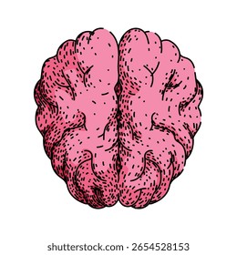 Synapse Gehirn handgezeichnet. neuroplastische Wahrnehmung, Bewusstseinszerebrum, Cortex Neurotransmitter Synapse Gehirn Vektor Skizze. einzelne Farbgrafik