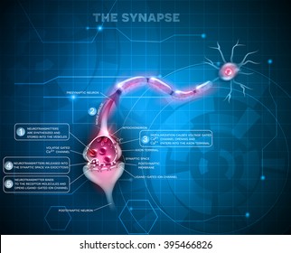 Synapse detailed anatomy on an abstract technology background. Neuron passes signal to another 
