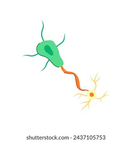 synapse neurons cartoon. neural structure, neuro human, biology body synapse neurons sign. isolated symbol vector illustration