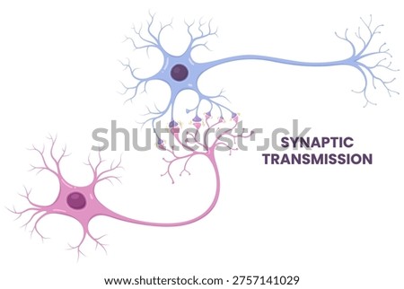 Synapse. Vector illustration of neural communication and synaptic connections	
