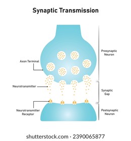 Synaptic Transmission Scientific Design. Vector Illustration.