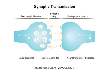 Diseño científico de transmisión sináptica. Ilustración vectorial.