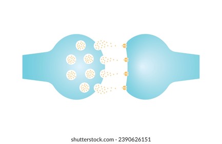 Synaptic Transmission Scientific Design. Vector Illustration.