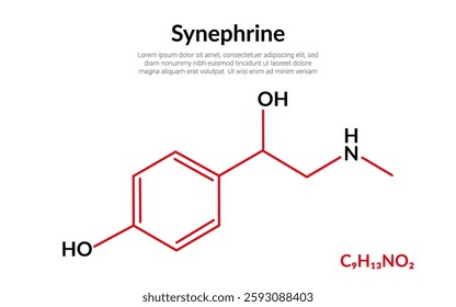 Synephrine, natural alkaloid, molecular structure formula, suitable for education or chemistry science content. Vector illustration
