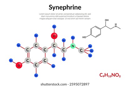 Synephrine, natural alkaloid, molecular structure formula, ball-and-stick model, suitable for education or chemistry science content. Vector illustration