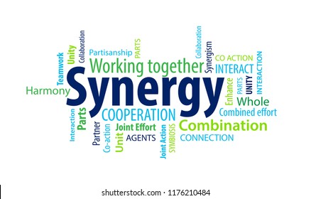 Synergy Word Cloud