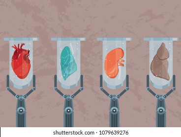 Synthetic Lab-grown Human Organs. Future Of Medicine And Transplantation. Test Tubes With Heart, Kidney, Lung And Hepar