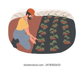 Synthetic mulches isolated cartoon vector illustrations. Farmer using synthetic mulches to protect soil from weed, modern agriculture, organic farming industry, weed control vector cartoon.