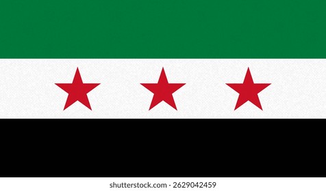 Syria flag with paper texture wall background. Vector illustration 