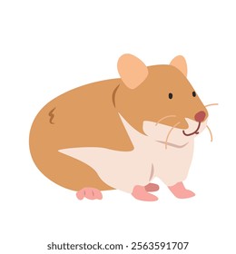 Syrian hamster cartoon clipart. Golden hamster vector illustration in flat style. Hand-drawn animal concept