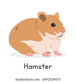 Vektorillustration eines niedlichen syrischen Hamster Cartoon Clipart Charakter, Tier im flachen Stil. Nutztiere, kleines Haustierkonzept. Golden Hamster Vektorgrafik Design isoliert auf weißem Hintergrund