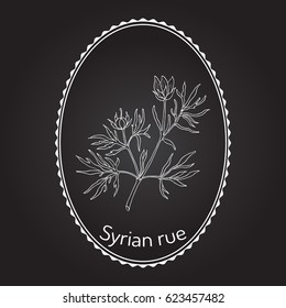 Syrian rue (Peganum harmala), called also esfand, harmel or aspand, medicinal plant. Hand drawn botanical vector illustration
