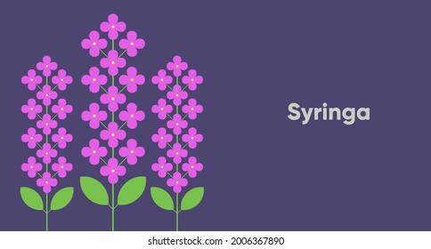 Syringa. Flower. Simple vector illustration. Funny plant. Background image for banner, greeting card, invitation, decoration.