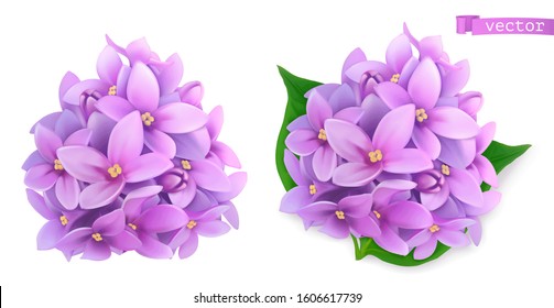 Syringa flowers, lilac. 3d realistic vector icon