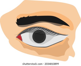 System like  the human eye is awake vector model